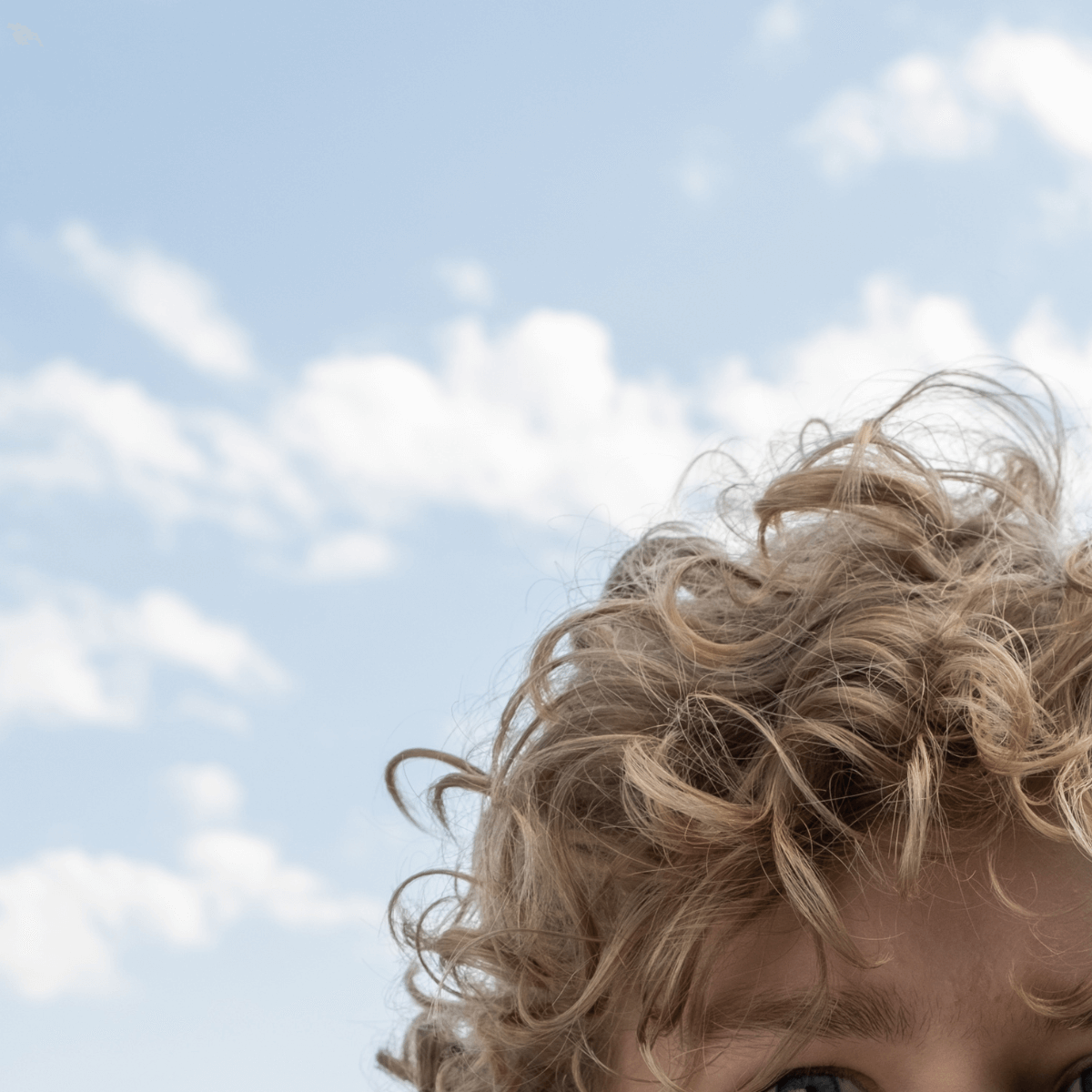 Guide til pleje af krøller. Nærbillede af lyse, krøllede hår mod en blå himmel i baggrunden.