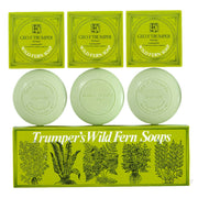 Handseife, Wilder Farn, 3 x 75 gr.
