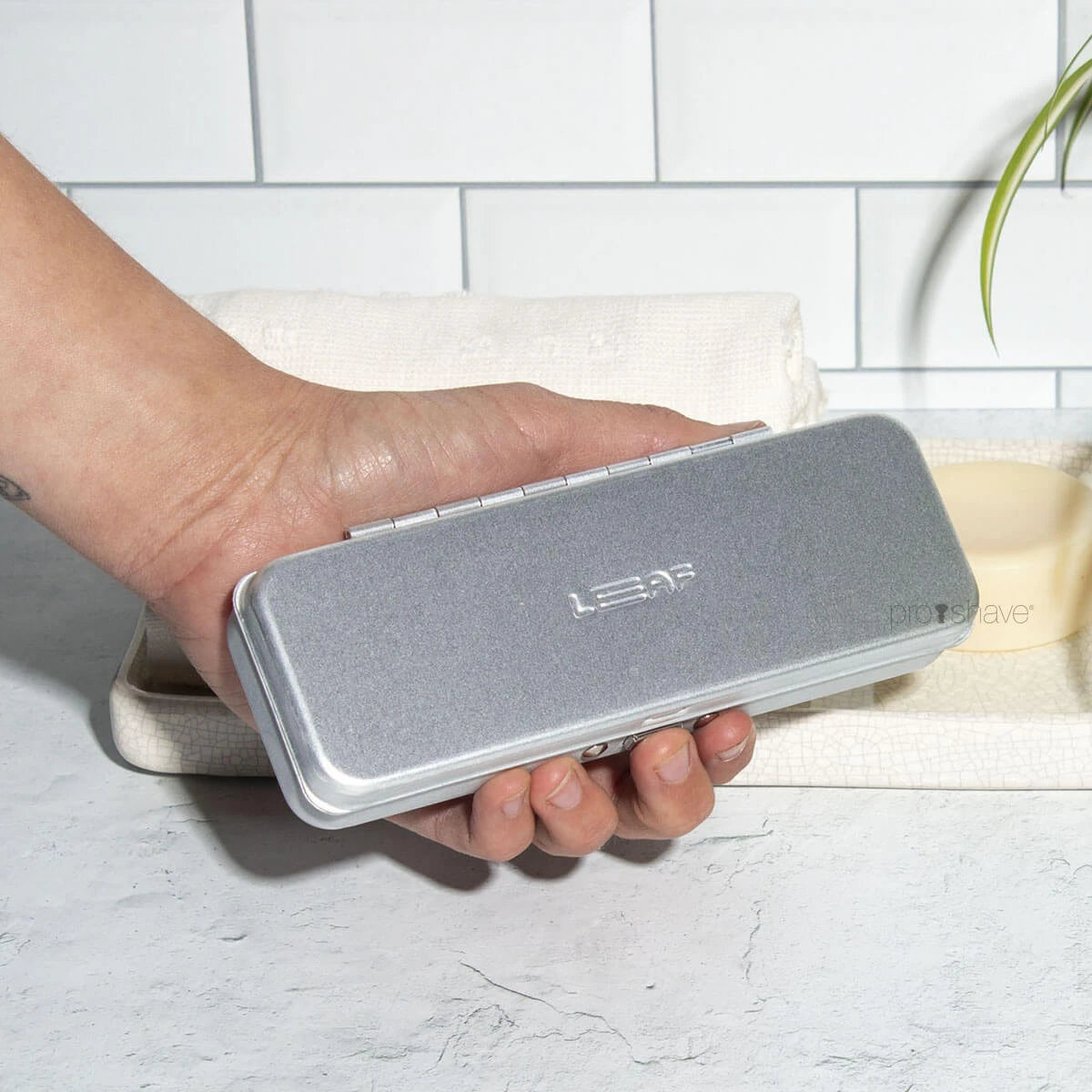 Reisekoffer, The Leaf