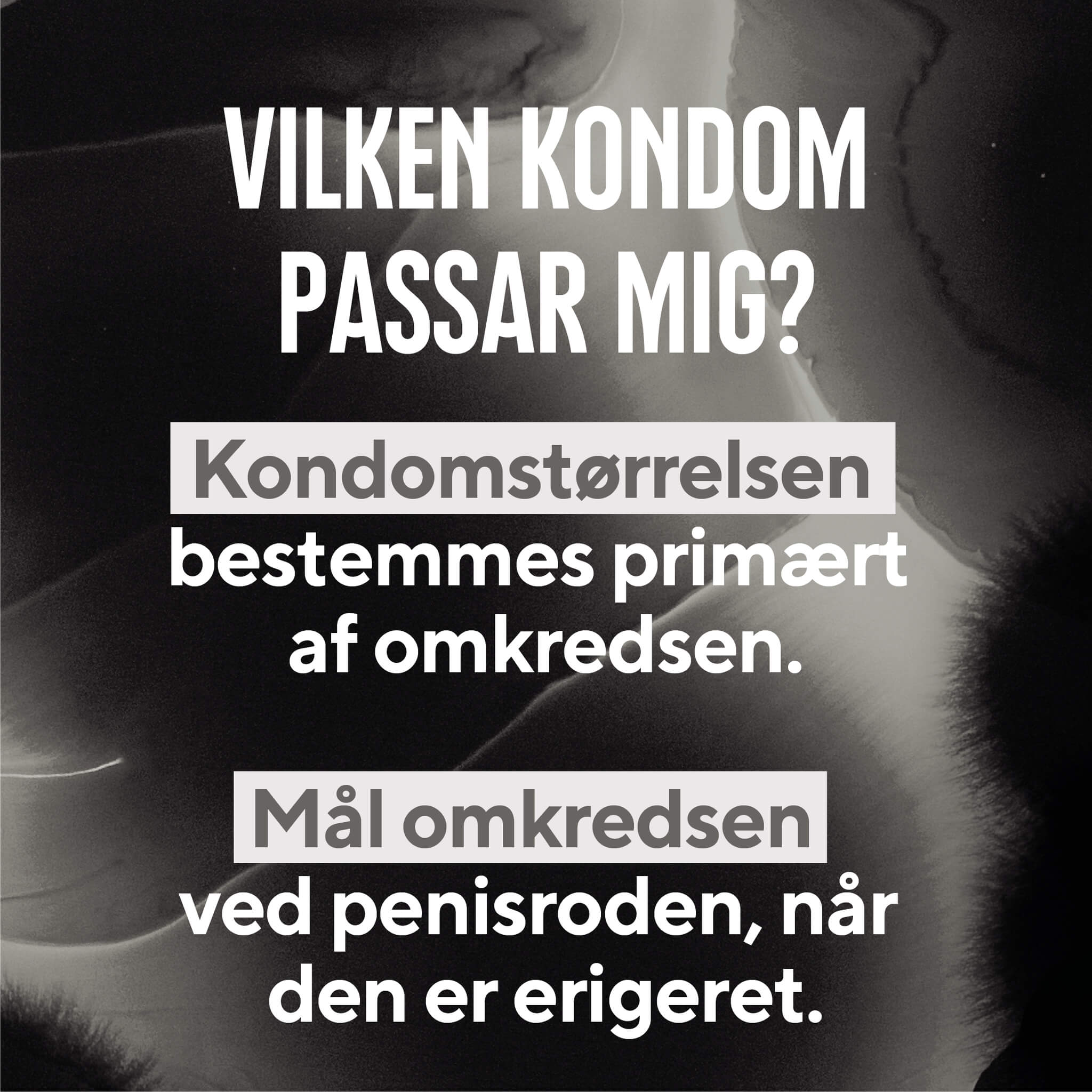 Grande Kondome, 10 Stück