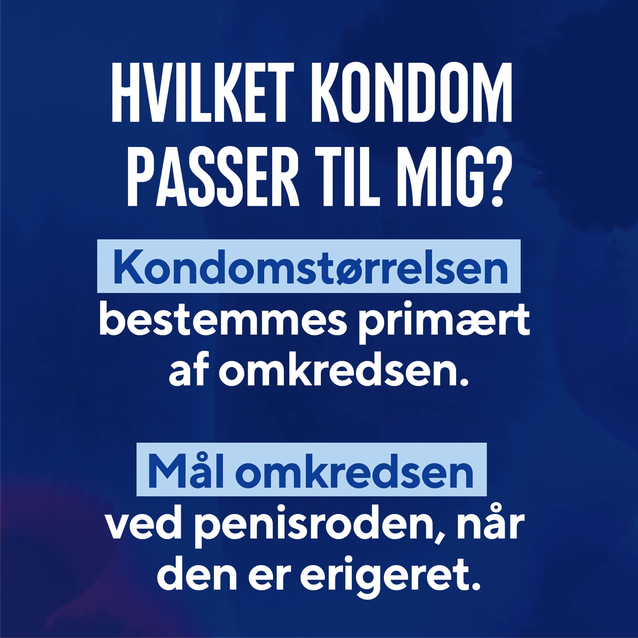 Profil Kondome, 10 Stück