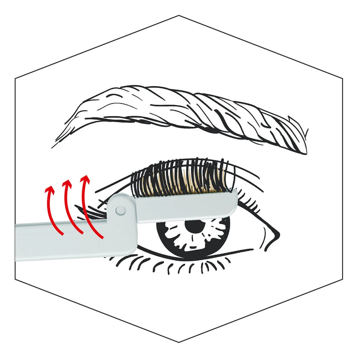 Kamm für Wimpern