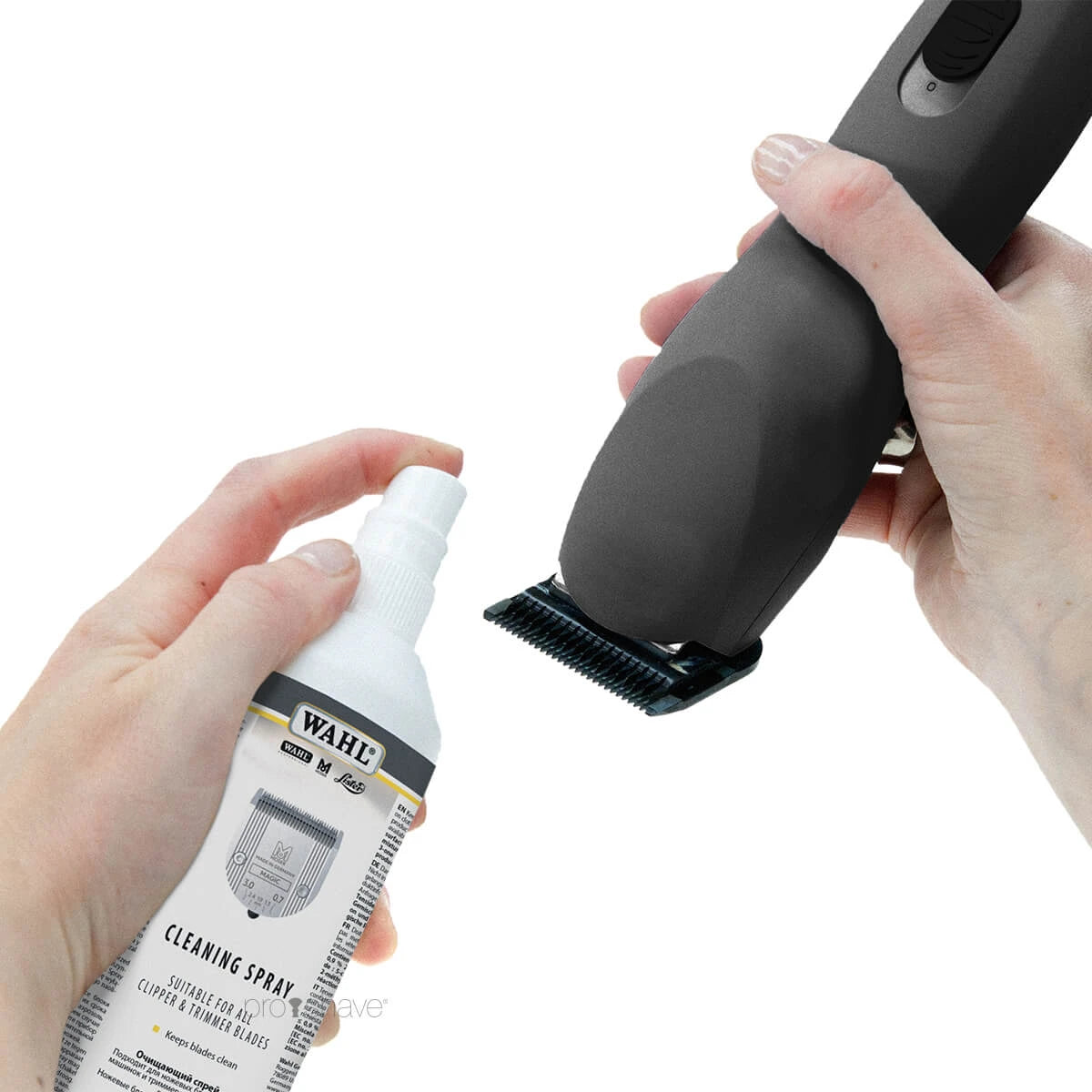 Reinigungsspray, 250 ml.