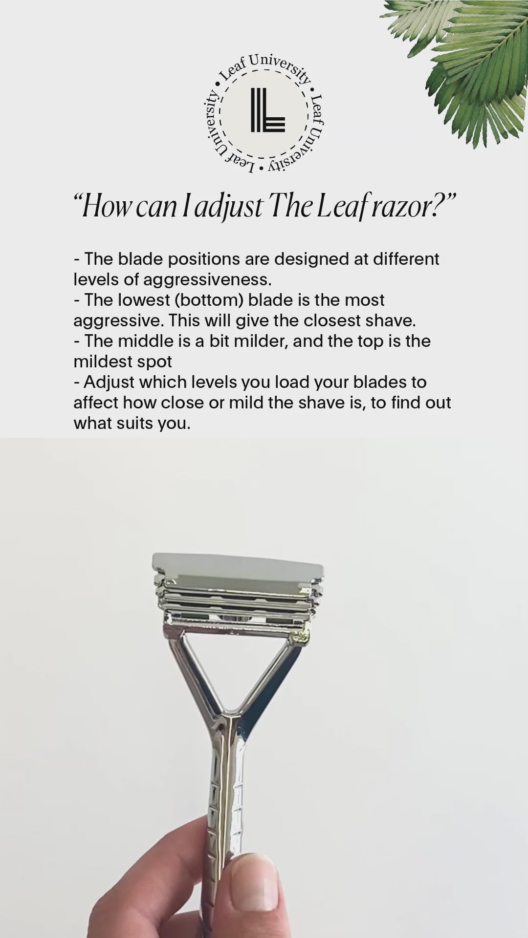 Video laden: Hobel, The Leaf Rasiermesser, Chrom