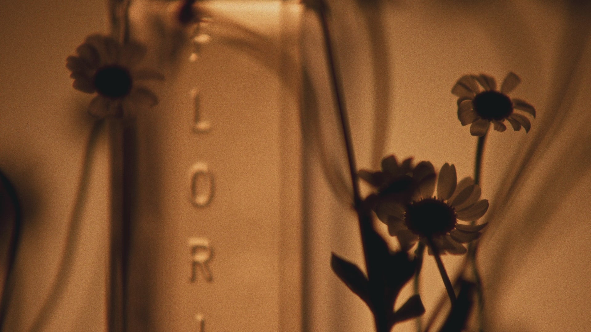 Video laden: Celest, Eau de Parfum, 100 ml.